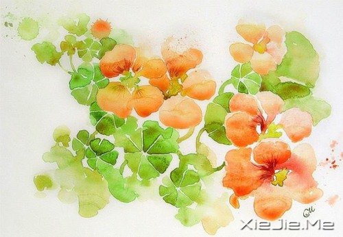 ����ϵˮ�ʻ�