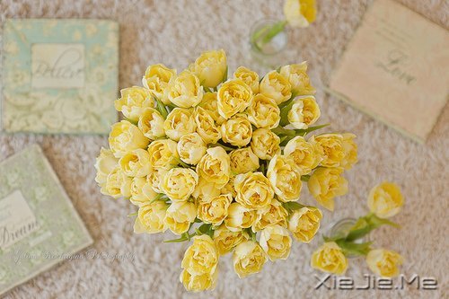 ��һ����������ʧȥ��60��Ŀ��� (1)