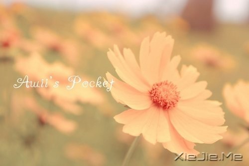 ��Ȼһ�У��������� (4)