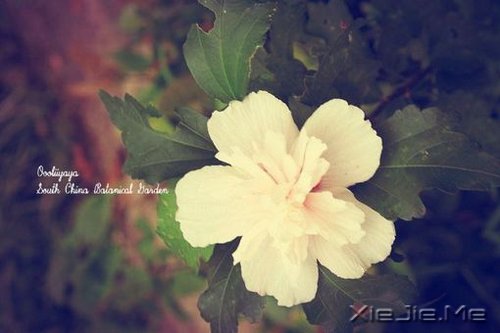 ��Ȼһ�У��������� (5)