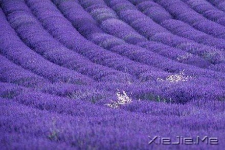 Ҫ��������룬��Ϊ�Լ����� (1)