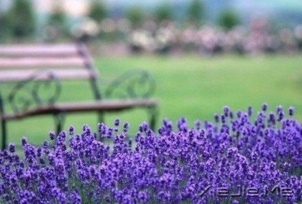 Ҫ��������룬��Ϊ�Լ����� (8)