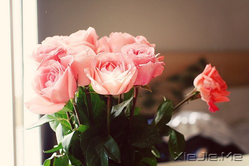 �������������Լ�һ��΢Ц (8)