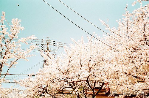 ·���ഺһ���ӣ��������ǳһ���� (7)