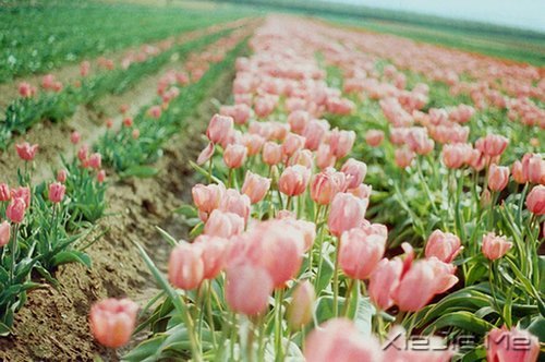 �ڴ�һ������ľ��룬�����������õļ��� (2)