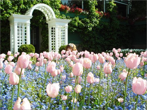 ĬȻ�మ���ž�ϲ�� (4)