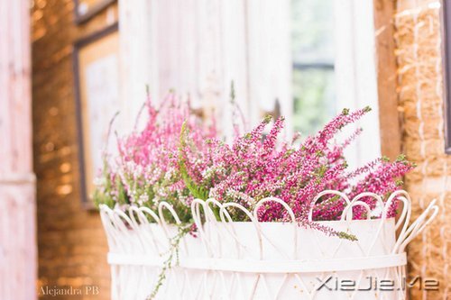 ˭���𻨵����ӣ�������������Ȼ���� (2)