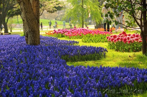 ��Ҫ��Ц���˵Ị̇���ֻ����û�о��������� (3)