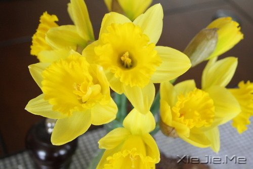 ����Ĺ¶�����һƬ�ڰ���������ֻ�ܿ����Լ� (6)