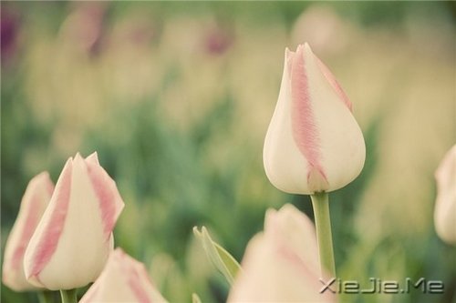 ���µģ��������� (2)