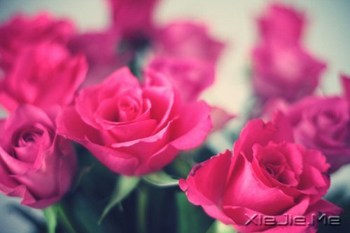 ���µģ��������� (6)