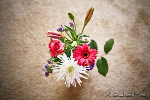 �簲�����Ϊ����Ϊ���ˣ����˲����˵��� (2)