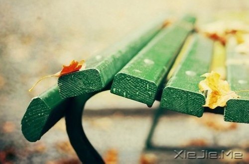 ������������ǳ����У������һ���ľ� (9)