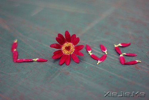 �������Զ�����Ƿ羰�������Ĳ������� (5)