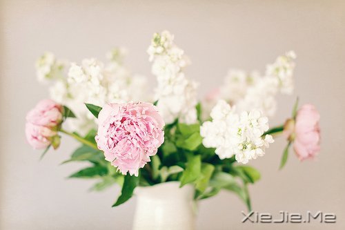 �簲������Լ����������ǣ������Ǳ��������еĿ��� (8)