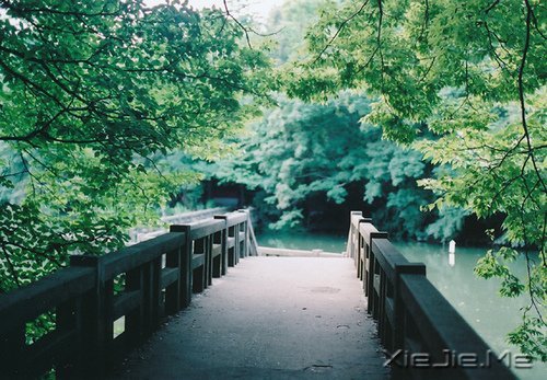 �簲�����ȥ�ľ͹�ȥ�ˣ�������Ȼ���� (2)