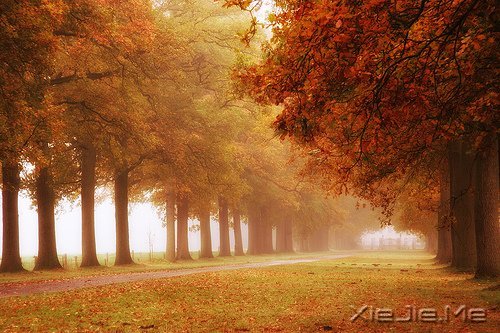 �簲�����ȥ�ľ͹�ȥ�ˣ�������Ȼ���� (10)