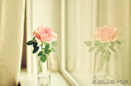 �簲�������ĺ�����ǳǳ��΢Ц (10)