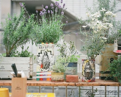 �������ѡ��������£�ڹ�Ϳ��������� (2)