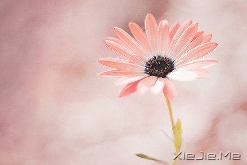 �簲�������Ҫ�ģ����¶������ (1)