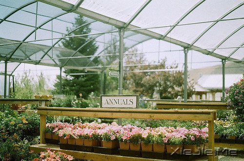 ��һ��΢Ц������ߣ����ַ������ϵ��� (3)