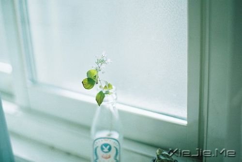 �簲���Ϊ�˵��㣬�Ҵ����˵��ҵ��� (6)