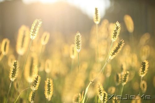 �簲�����һ���峺�İ׿�ˮ������ĸոպ� (3)