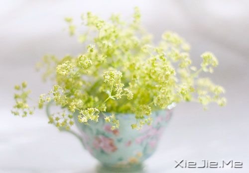 �簲�����Ȼ����������һ�ֳɳ� (2)