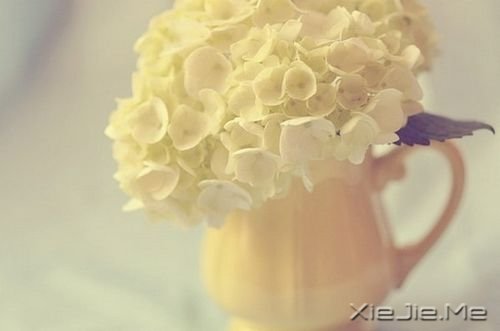 �������������Ҳ������������� (1)