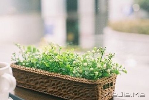 ���������û��ô����ڣ�����ô�� (7)