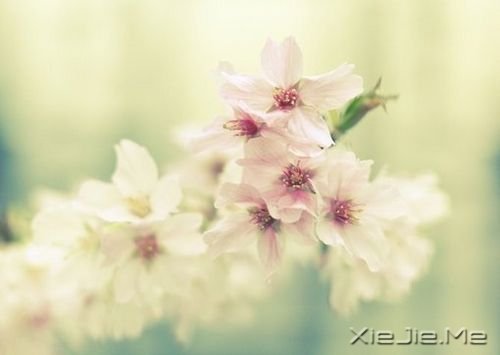 �����������ʱû�м���������Ǿ�����ͷ (9)