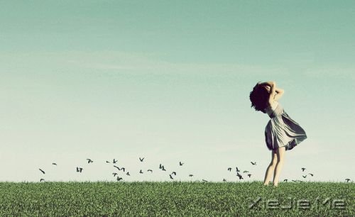 ����������������٣�ֻҪȥѰ�� (6)