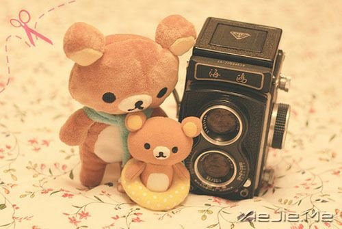 �簲���������ֻ��һ���� (6)