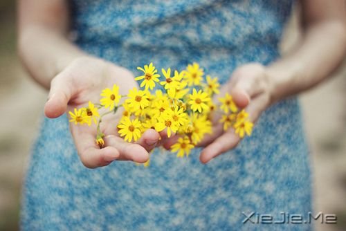 ��������㲻���ҵĳ�Ĭ������ô�ᶮ�ҵ��ѹ� (1)