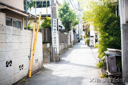 ����������Ƕ��ϵ�̫�죬ȴ���׵�̫�� (2)