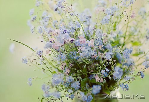 �簲��������ܻ������һ�����ᣬ������������ (2)