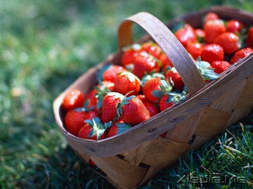 �簲���סδ�����ң�����ʲ��� (2)