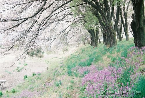 �簲����������Կ��ƣ������᲻������ (2)