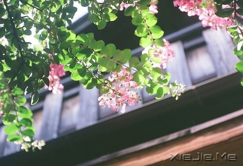 �簲�������ĺ�С����Ҫװ��̫������ (2)