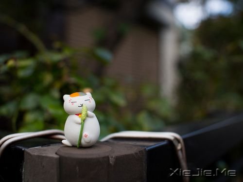 �簲����ഺ����һ���껪������һ���ľ� (10)