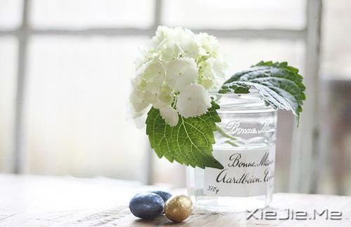 ������������Լ����ģ��������沨���� (2)