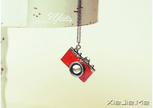 �����������ѧ����ϧ�Լ�������Ż���ϧ�� (10)