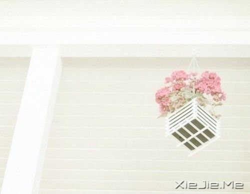 ��������Լ���Ц�ݲ��������ķ羰 (3)