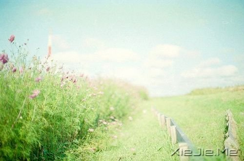 С����ͼƬ (3)