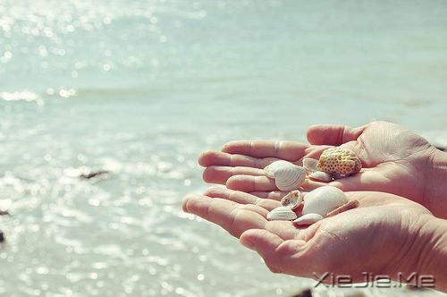 С����ͼƬ (2)