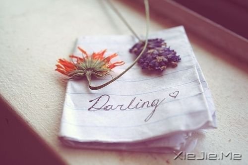 С����ͼƬ (18)