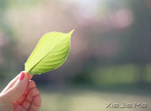 ���Ƕ�һ���������й�â (9)