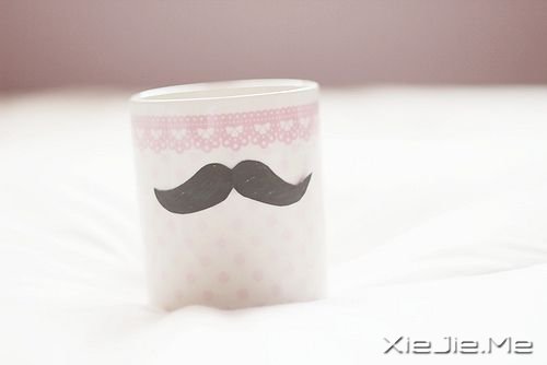 ����������������ں������� (11)