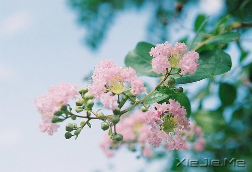 ��ʼ��������õķ���ȥŬ��