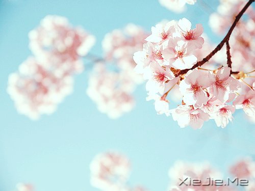 ���֣��Ƹ�̫�ߵ��ˣ����ʺ�����